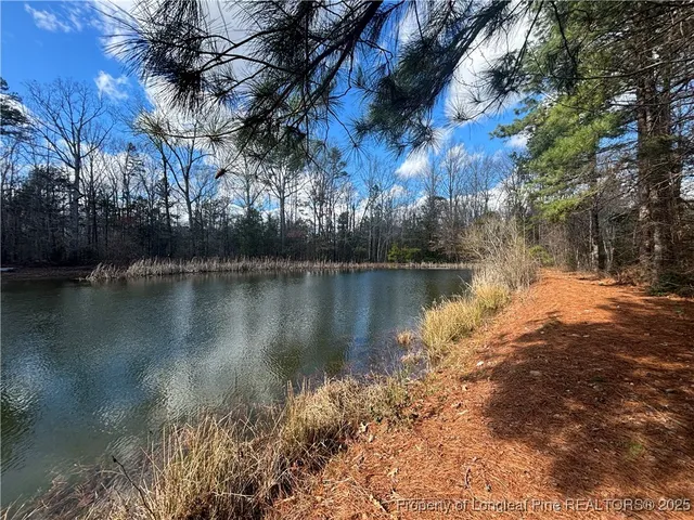 $170,000 | 1246 Browns Mill Road, Robbins, NC 27325