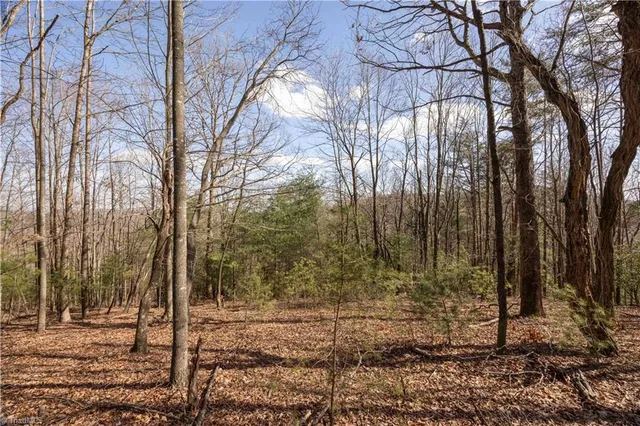 $35,900 | Tbd Tbd Fox Squirrel Circle, McGrady, NC 28649