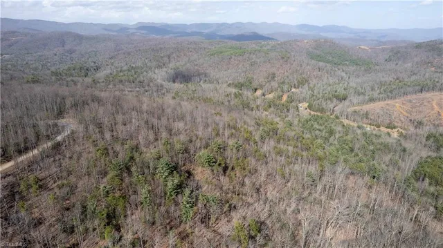 $35,900 | Tbd Tbd Fox Squirrel Circle, McGrady, NC 28649