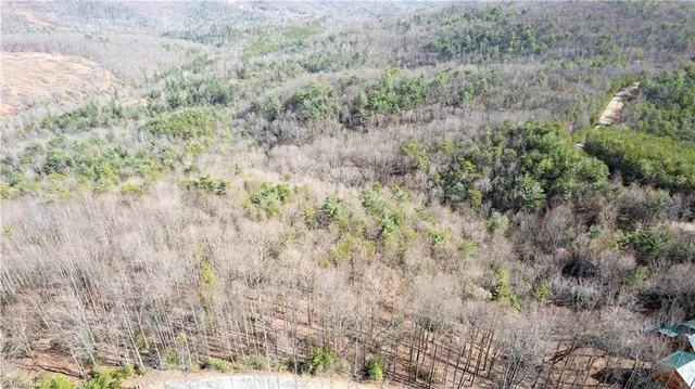 $35,900 | Tbd Tbd Fox Squirrel Circle, McGrady, NC 28649