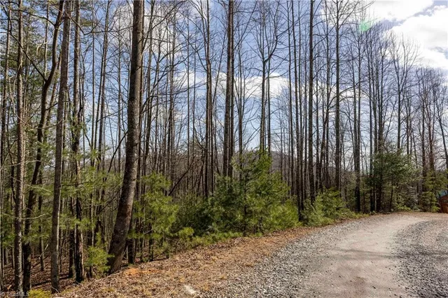$35,900 | Tbd Tbd Fox Squirrel Circle, McGrady, NC 28649