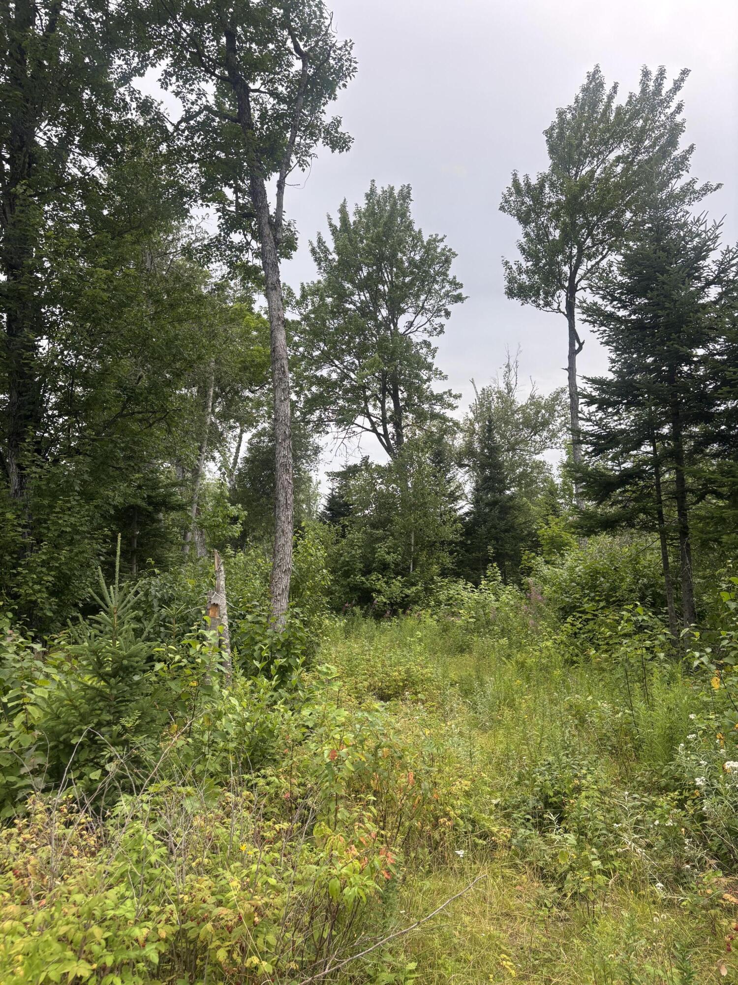 64 Ip Road Stratton, ME 04982 - Photo 11 of 56