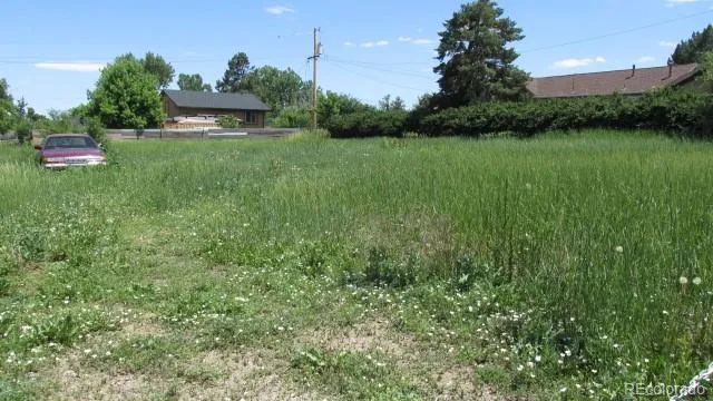 a view of a garden with a lake