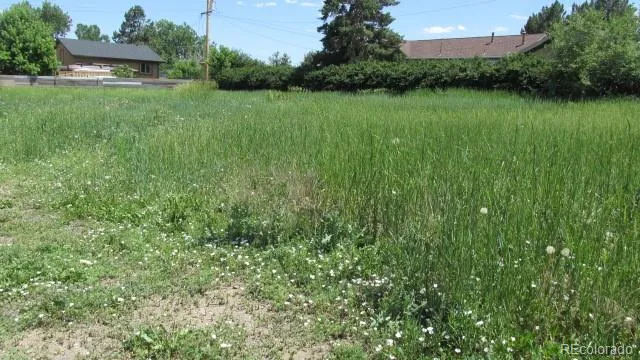 a view of a garden with a house in the background