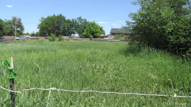 a backyard of a house with lots of green space and trees