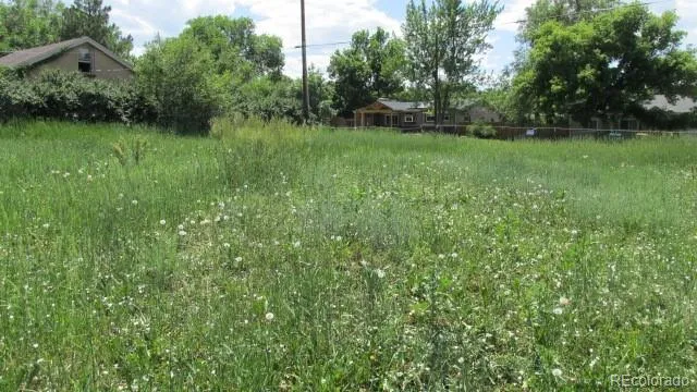 a view of a lush green space