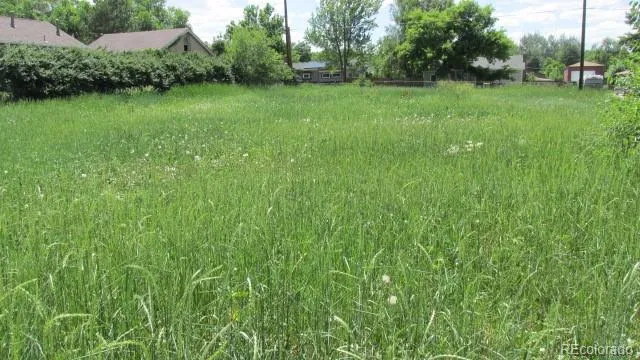 a view of a lush green space