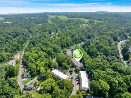 a view of a city with lush green forest