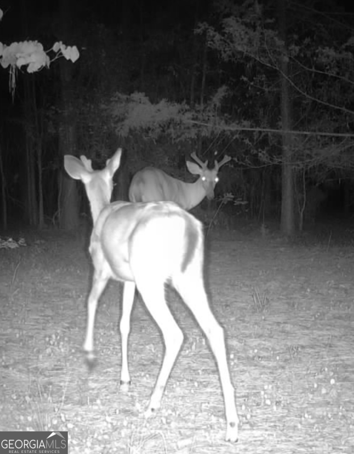 2 Bethesda Church Road Lexington, GA 30648 - Photo 66 of 66