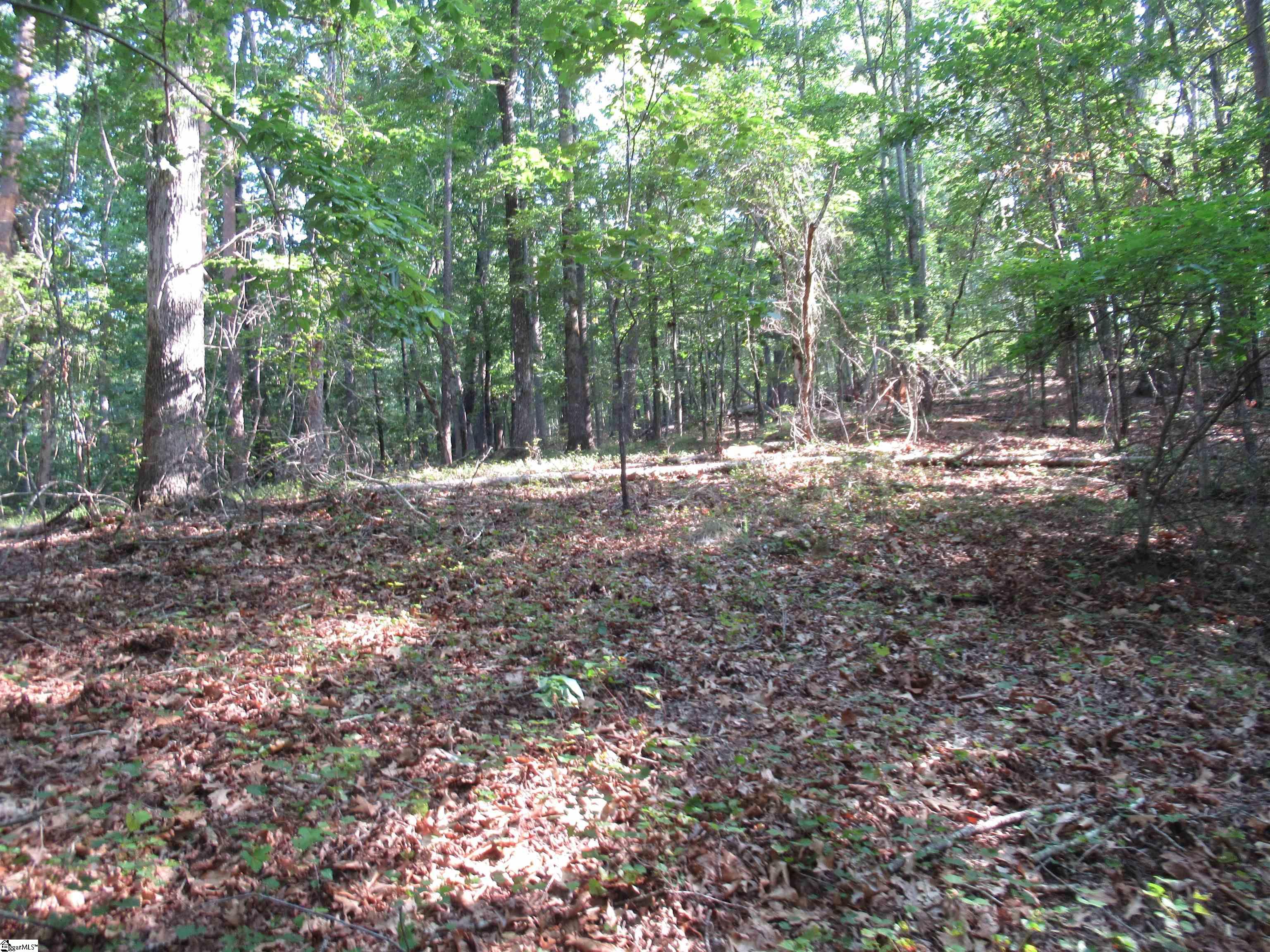0 Murphy Road, Unit 3 2 ACRES S SIDE MURPHY RD Sunset, SC 29685 - Photo 17 of 20