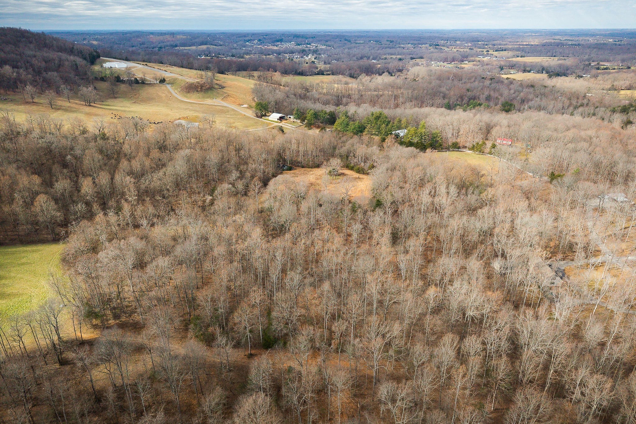4898 Forrest Hill Road Cookeville, TN 38506 - Photo 13 of 18 a view of a dry yard with wooden floor and fence