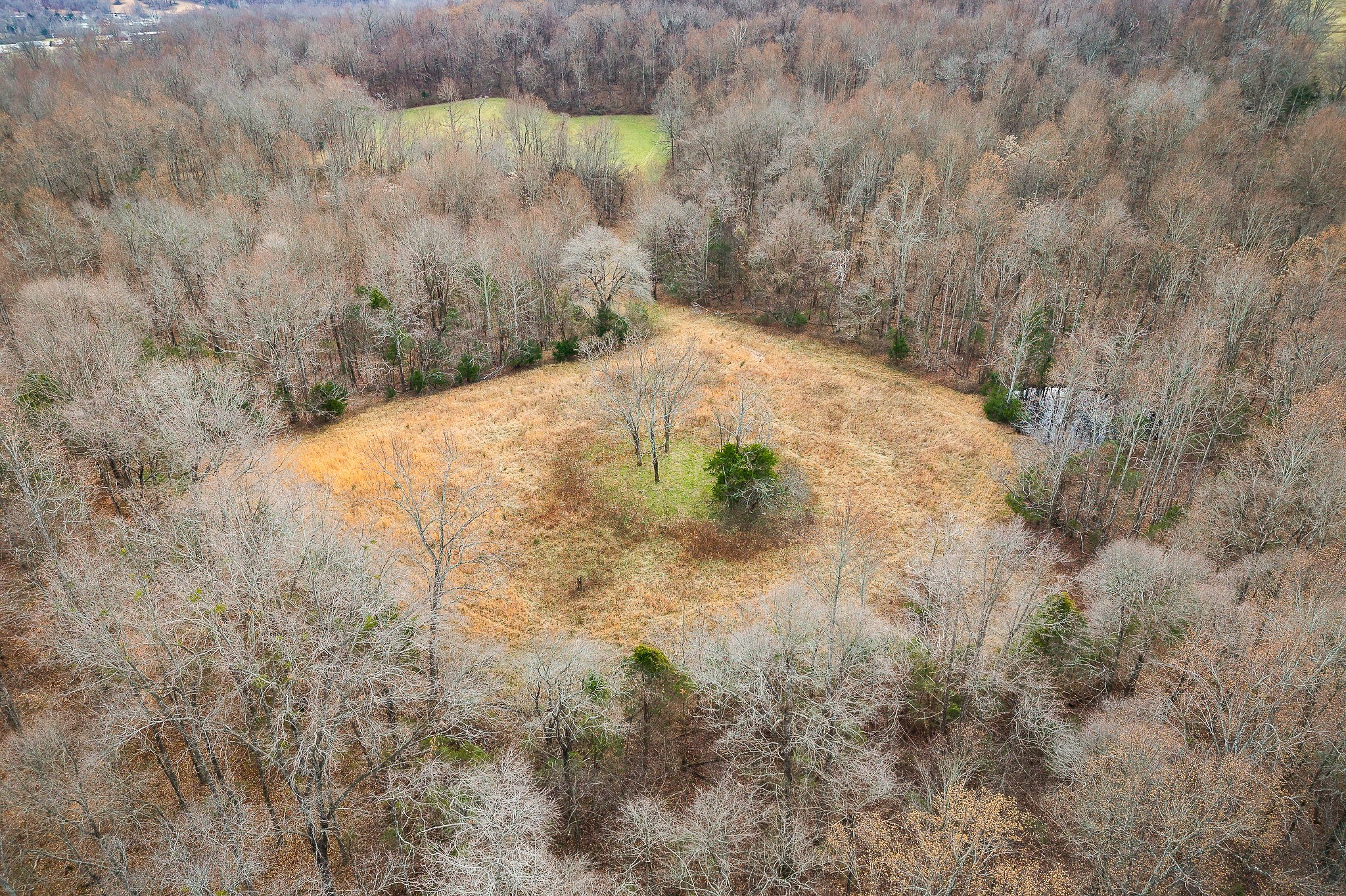 4898 Forrest Hill Road Cookeville, TN 38506 - Photo 14 of 18 a view of a dry yard