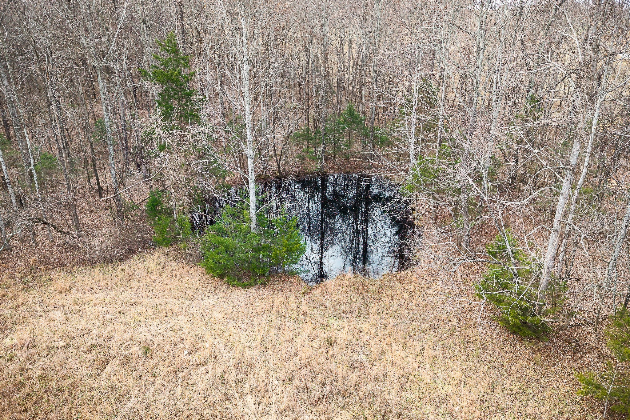 4898 Forrest Hill Road Cookeville, TN 38506 - Photo 15 of 18 a view of backyard with green space