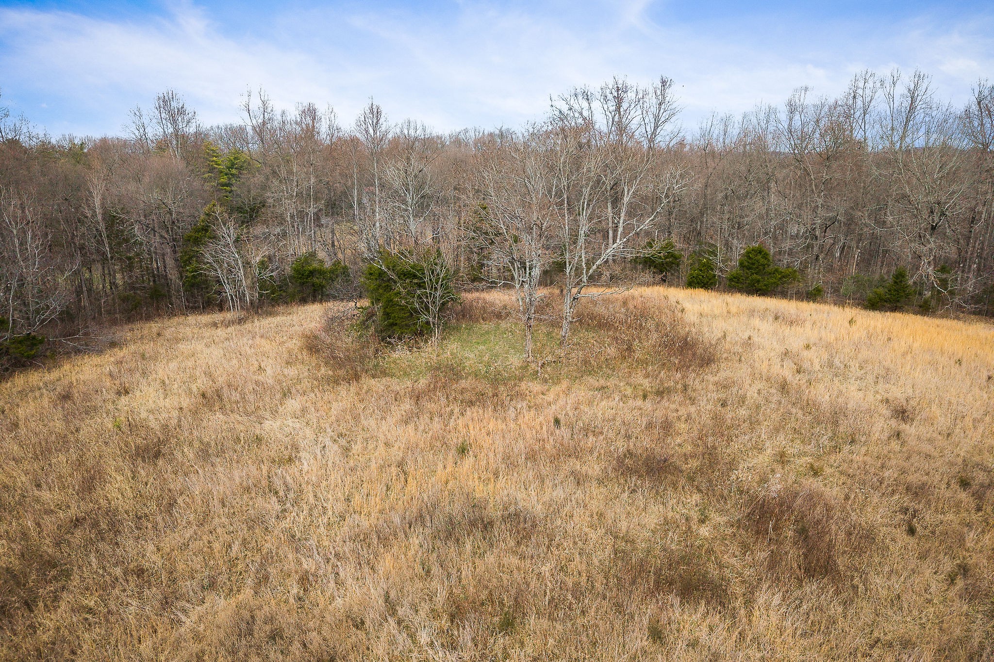4898 Forrest Hill Road Cookeville, TN 38506 - Photo 16 of 18 a view of a covered with snow in the background