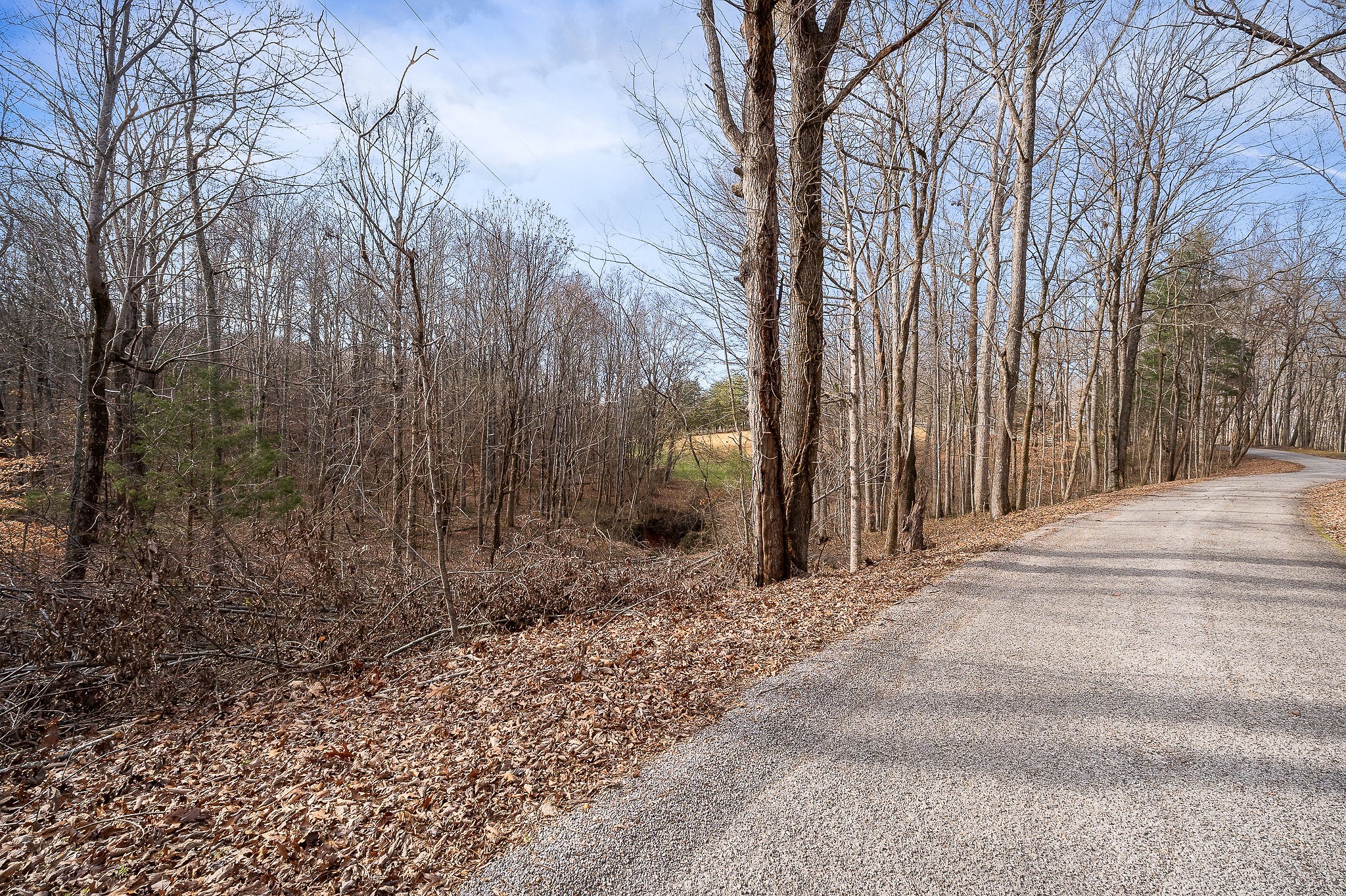 4898 Forrest Hill Road Cookeville, TN 38506 - Photo 17 of 18 a view of a backyard of the house