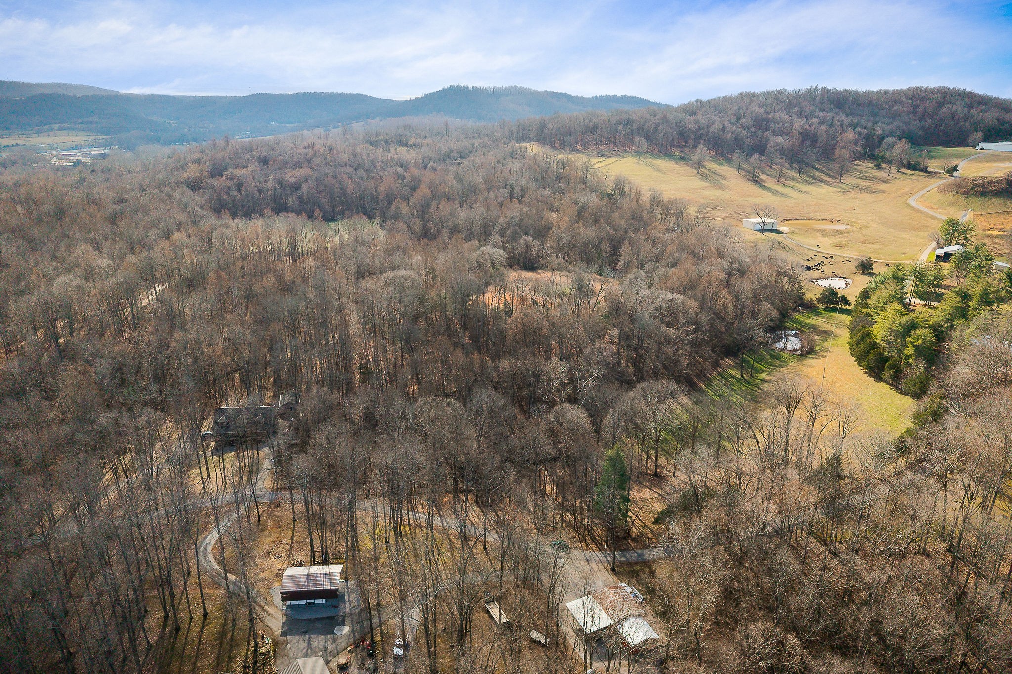 4898 Forrest Hill Road Cookeville, TN 38506 - Photo 3 of 18 a view of lake with mountain