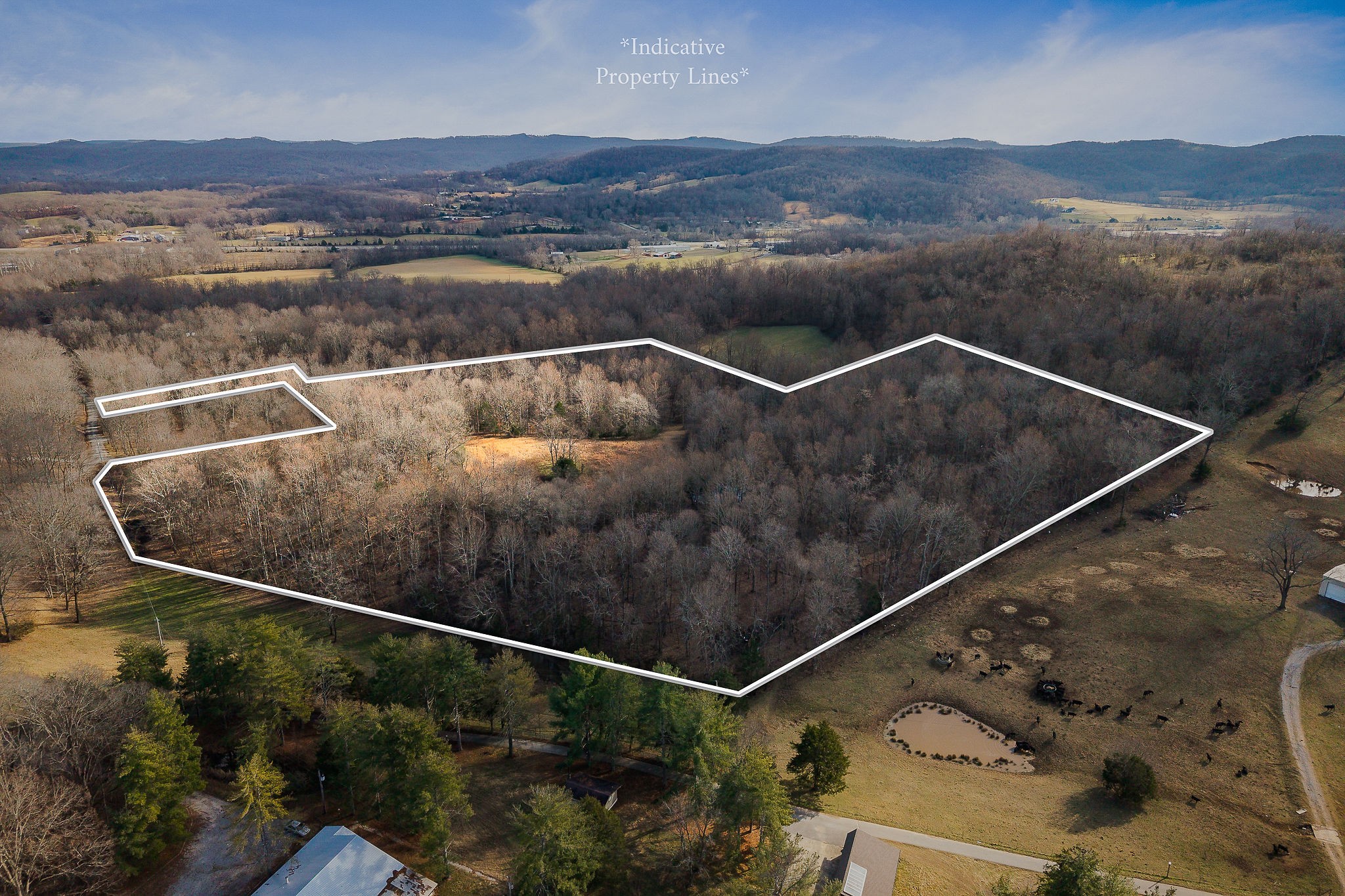 4898 Forrest Hill Road Cookeville, TN 38506 - Photo 7 of 18 a view of a outdoor space with mountain view