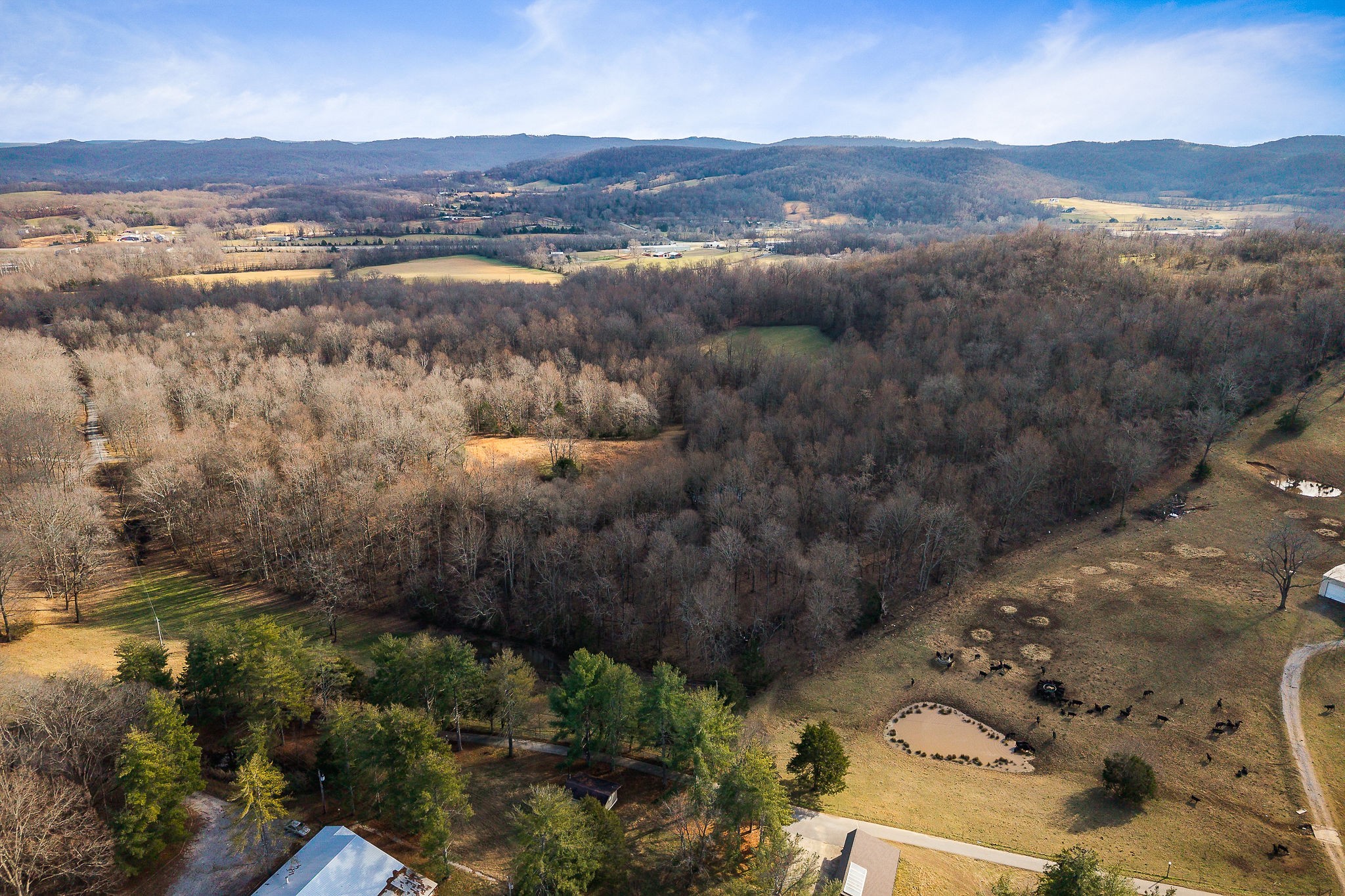 4898 Forrest Hill Road Cookeville, TN 38506 - Photo 8 of 18 a view of city and mountain