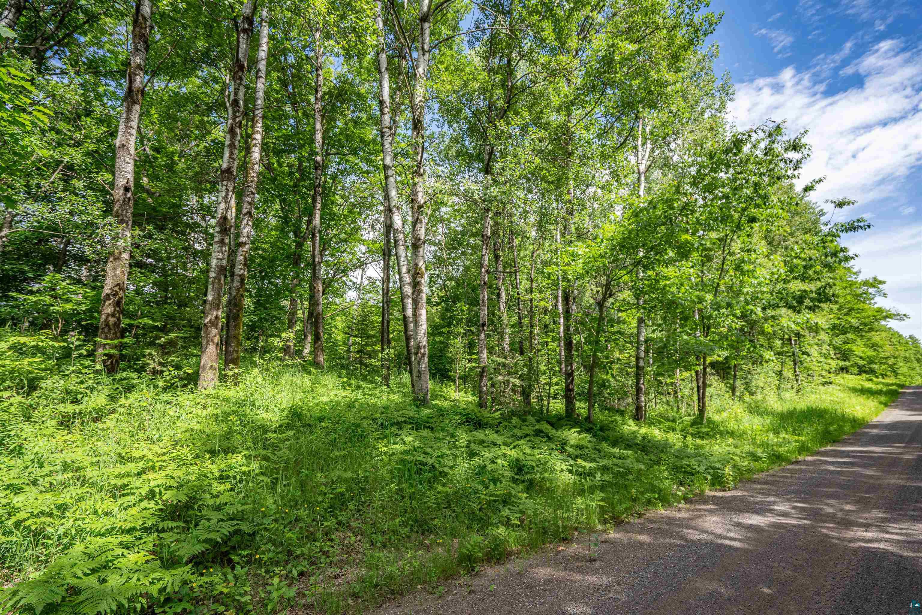 2-xxx Bent Trout Lake Road Barnum, MN 55707 - Photo 12 of 12