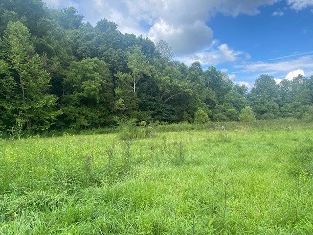 Tbd Tbd Rich Valley Road, Unit 15 Meadowview, VA 24361 - Photo 7 of 12 Gallery Image 7