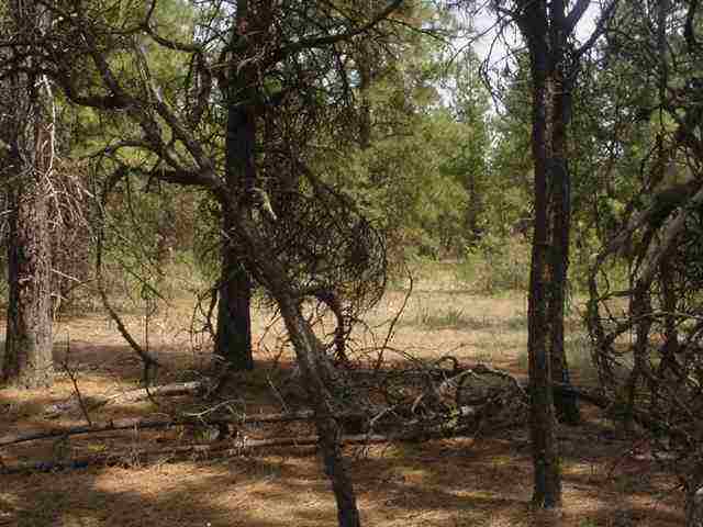 8100 South Spotted Road Cheney, WA 99004 - Photo 3 of 6