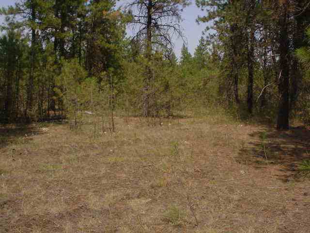 8100 South Spotted Road Cheney, WA 99004 - Photo 4 of 6