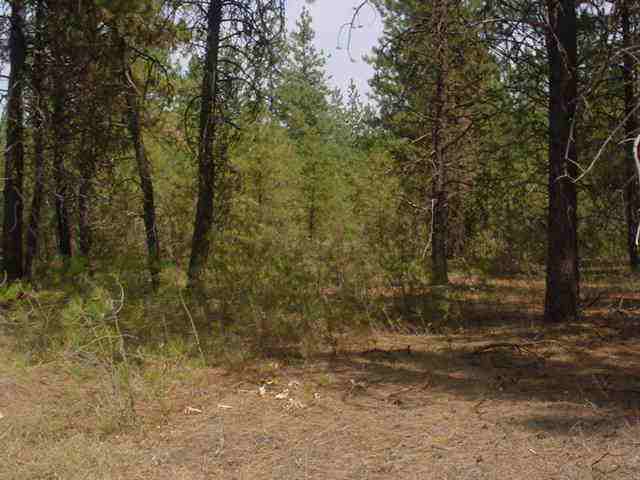 8100 South Spotted Road Cheney, WA 99004 - Photo 5 of 6