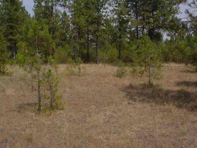 8100 South Spotted Road Cheney, WA 99004 - Photo 6 of 6
