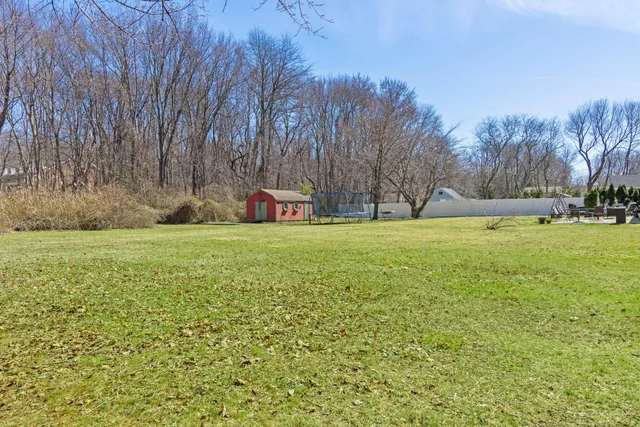 a view of a field with large trees