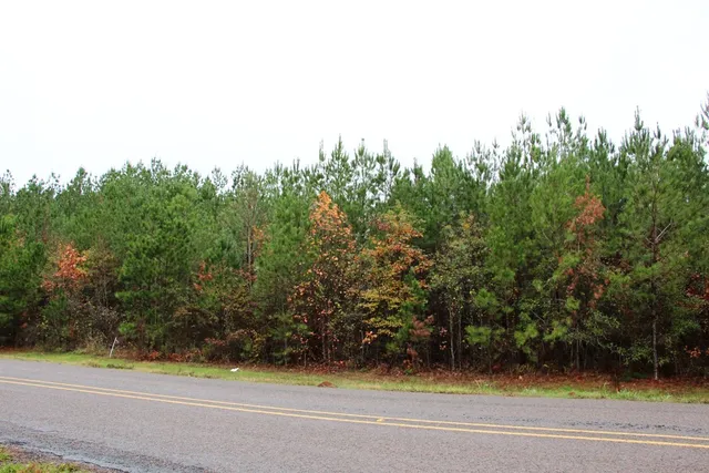 $109,900 | 0 Fm1751, San Augustine, TX 75972