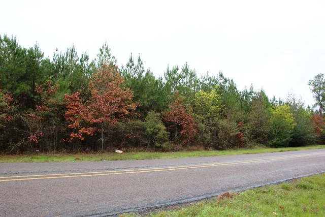 $109,900 | 0 Fm1751, San Augustine, TX 75972
