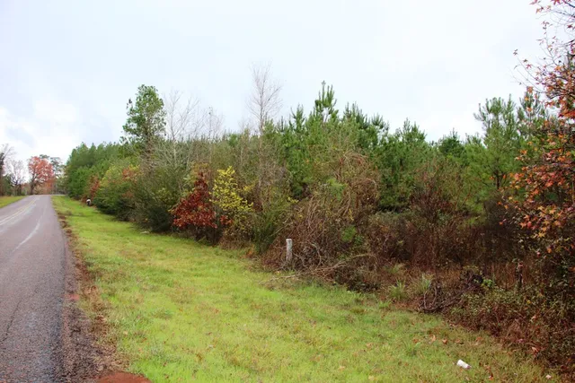 $109,900 | 0 Fm1751, San Augustine, TX 75972