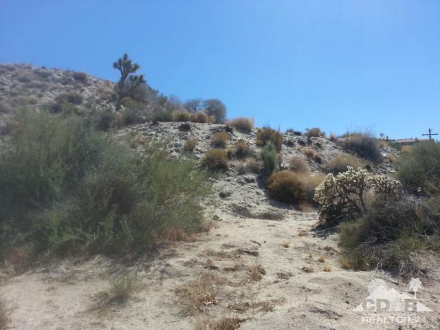 0 Pinon Drive Yucca Valley, CA 92284 - Photo 3 of 5 a view of a yard with a tree