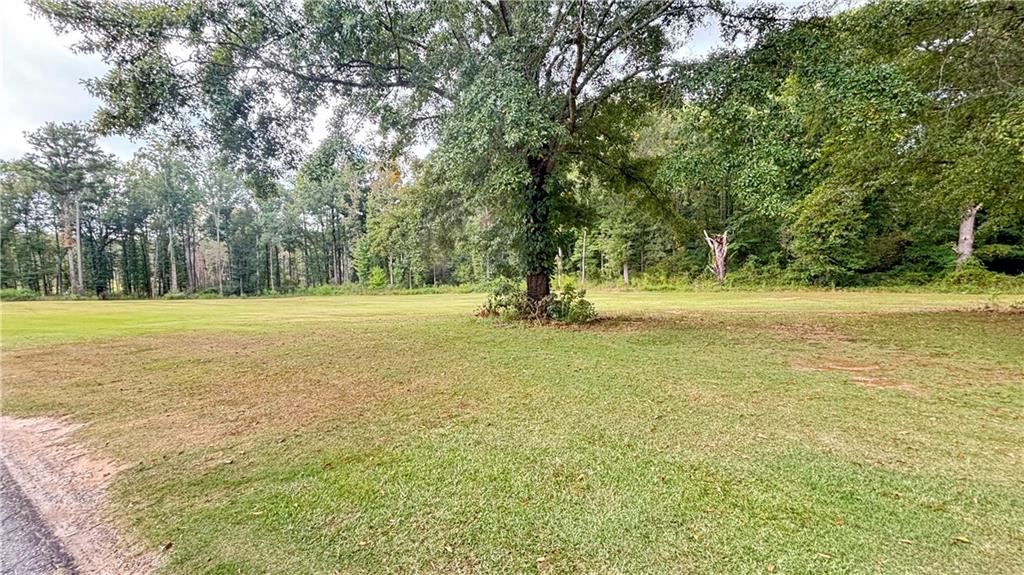 0 Old Conyers Road Stockbridge, GA 30281 - Photo 8 of 8 Gallery Image 8