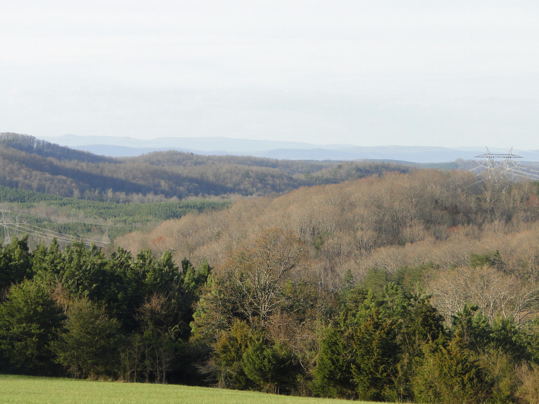 Tract #1 Brickell Ridge Road Decatur, TN 37322 - Photo 2 of 28 3