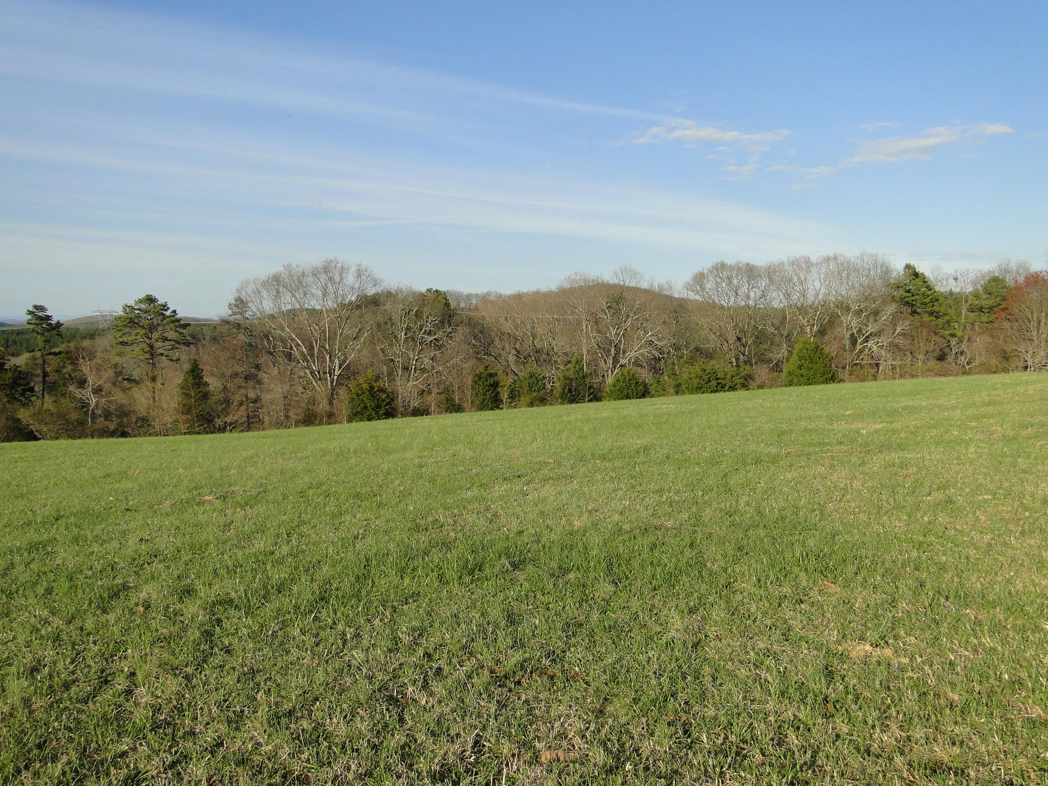 Tract #1 Brickell Ridge Road Decatur, TN 37322 - Photo 11 of 28 DSC08163