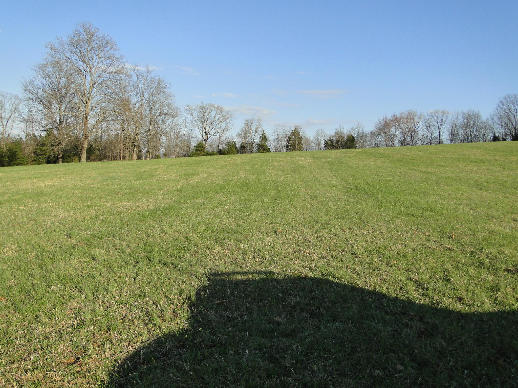 Tract #1 Brickell Ridge Road Decatur, TN 37322 - Photo 12 of 28 DSC08164