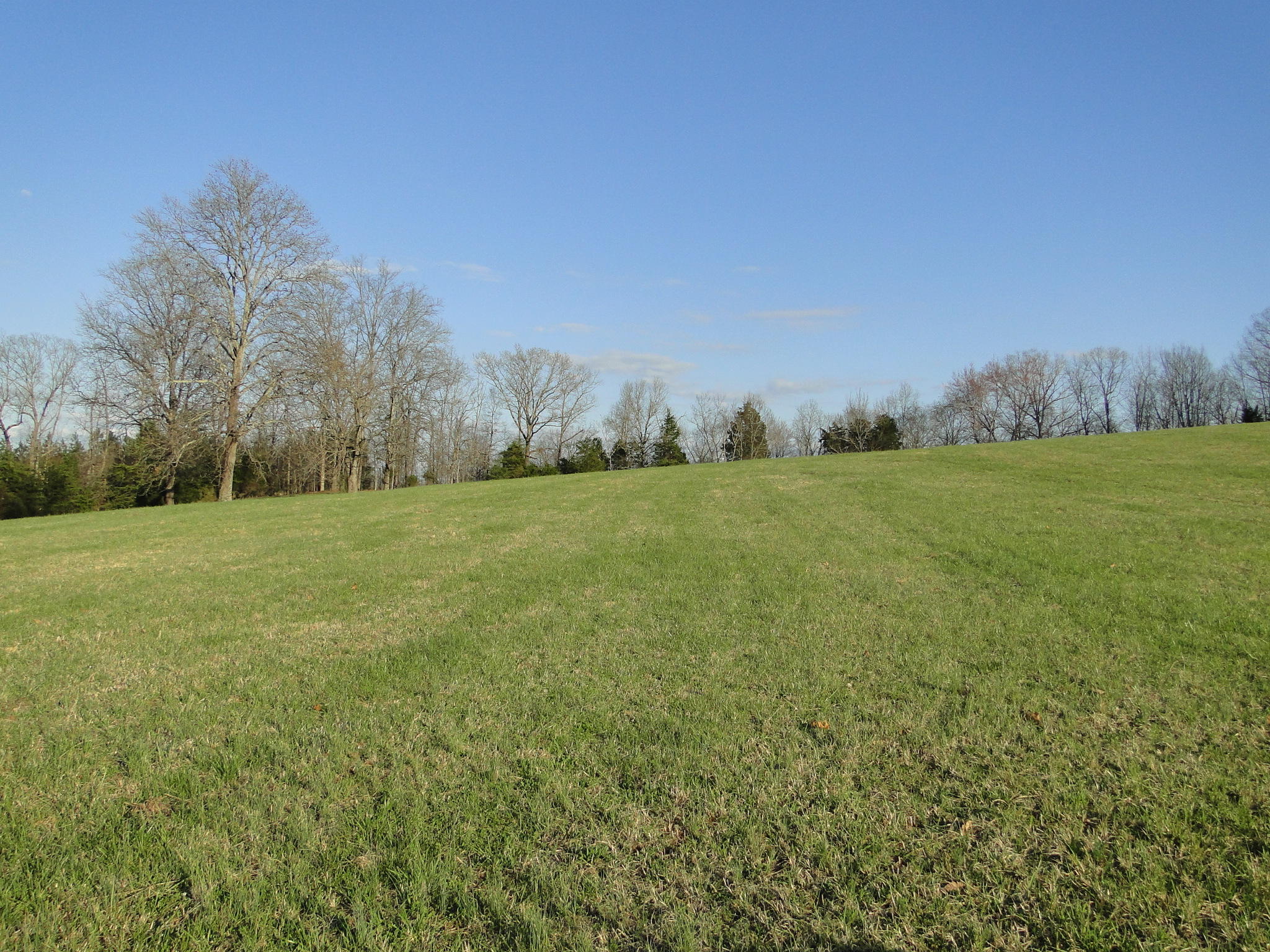 Tract #1 Brickell Ridge Road Decatur, TN 37322 - Photo 13 of 28 DSC08165