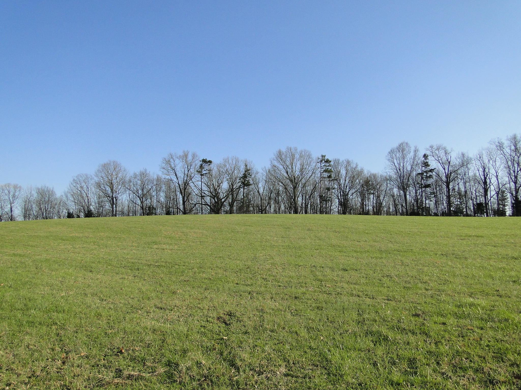 Tract #1 Brickell Ridge Road Decatur, TN 37322 - Photo 14 of 28 DSC08166