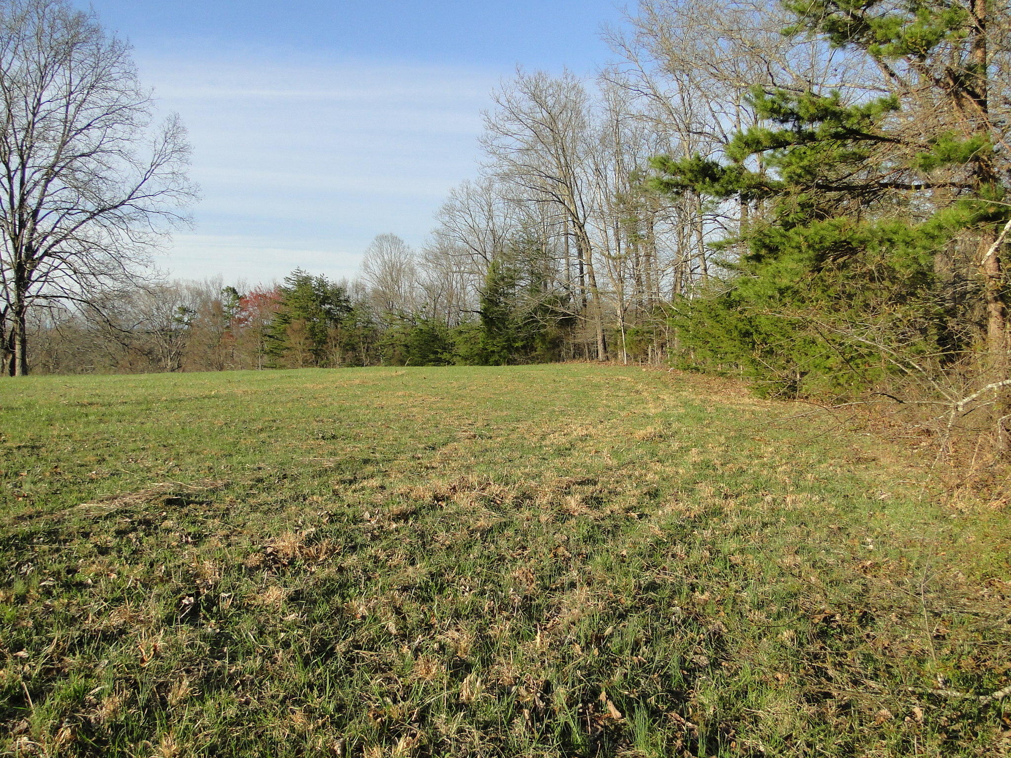 Tract #1 Brickell Ridge Road Decatur, TN 37322 - Photo 15 of 28 DSC08169