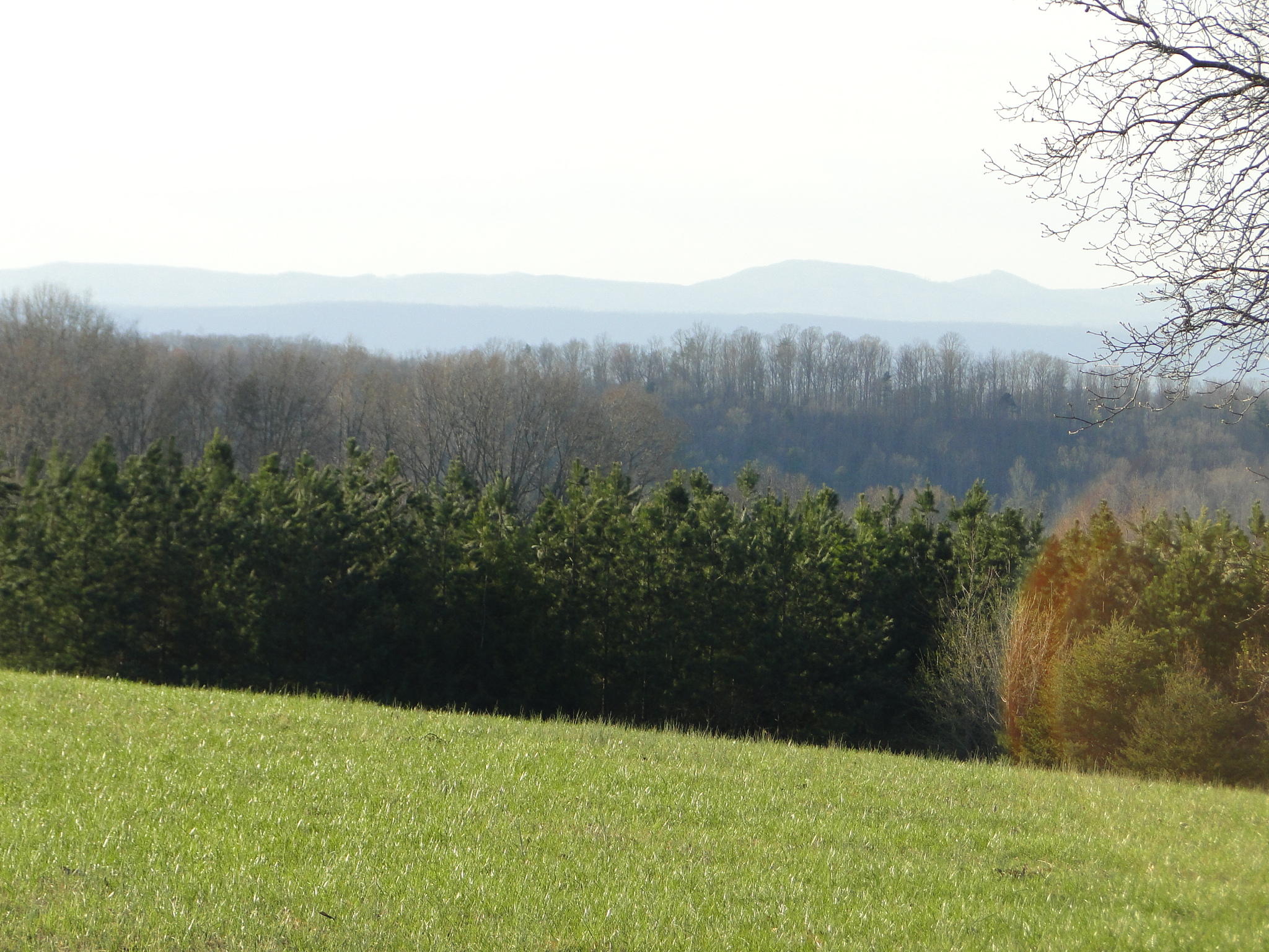 Tract #1 Brickell Ridge Road Decatur, TN 37322 - Photo 16 of 28 DSC08170