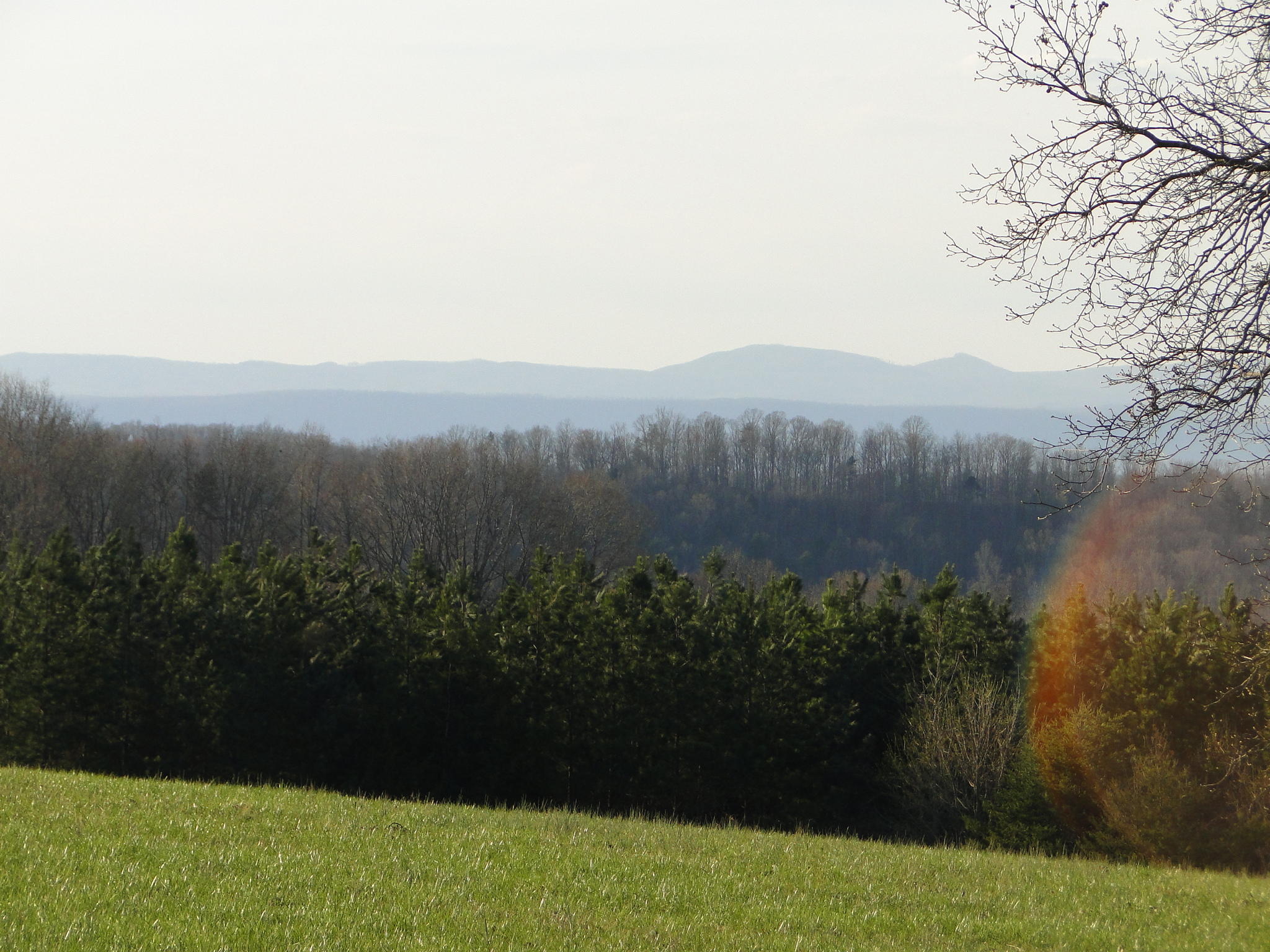 Tract #1 Brickell Ridge Road Decatur, TN 37322 - Photo 18 of 28 DSC08172