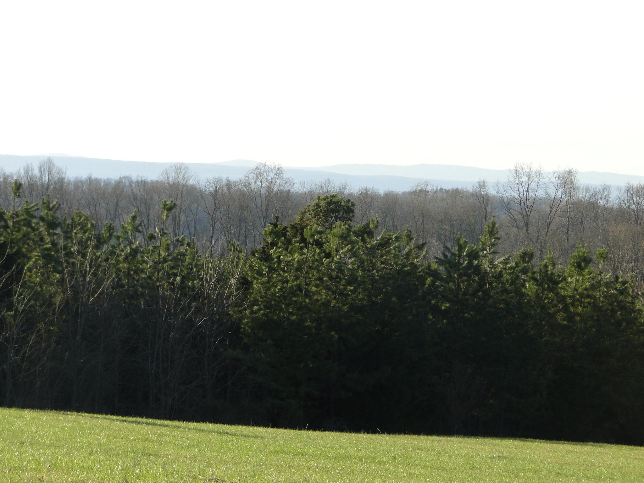 Tract #1 Brickell Ridge Road Decatur, TN 37322 - Photo 19 of 28 DSC08173