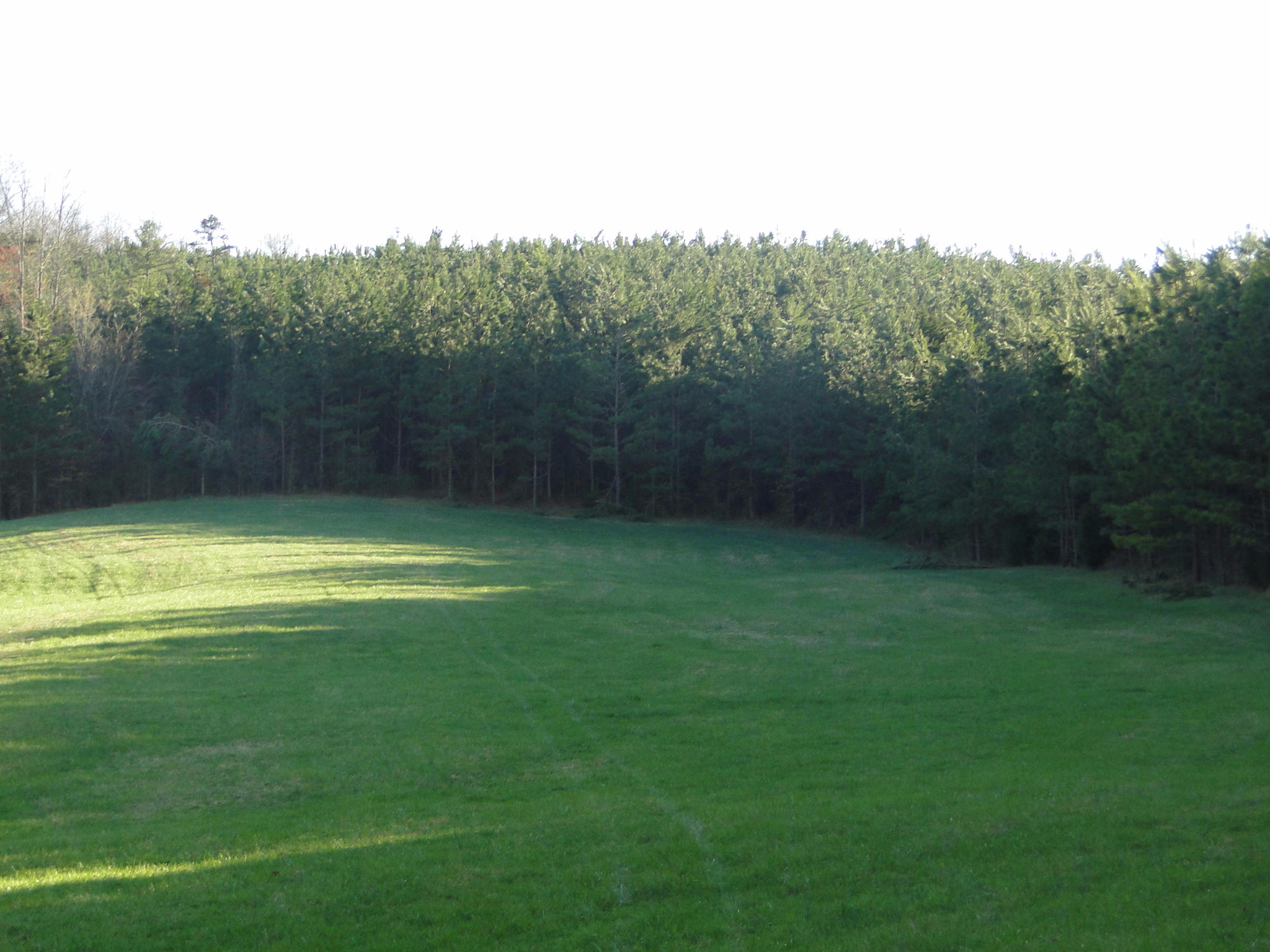 Tract #1 Brickell Ridge Road Decatur, TN 37322 - Photo 3 of 28 4