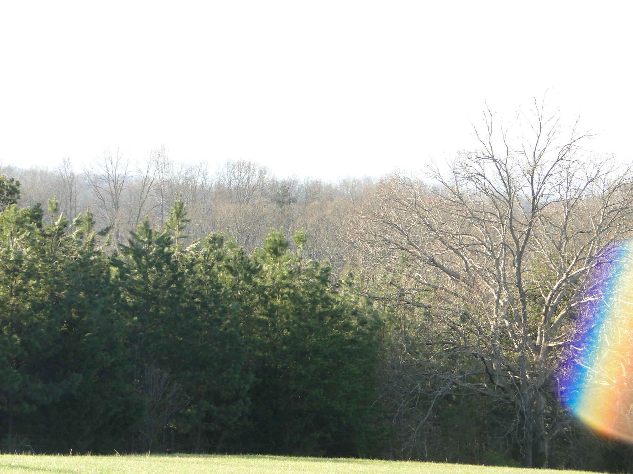 Tract #1 Brickell Ridge Road Decatur, TN 37322 - Photo 23 of 28 DSC08177
