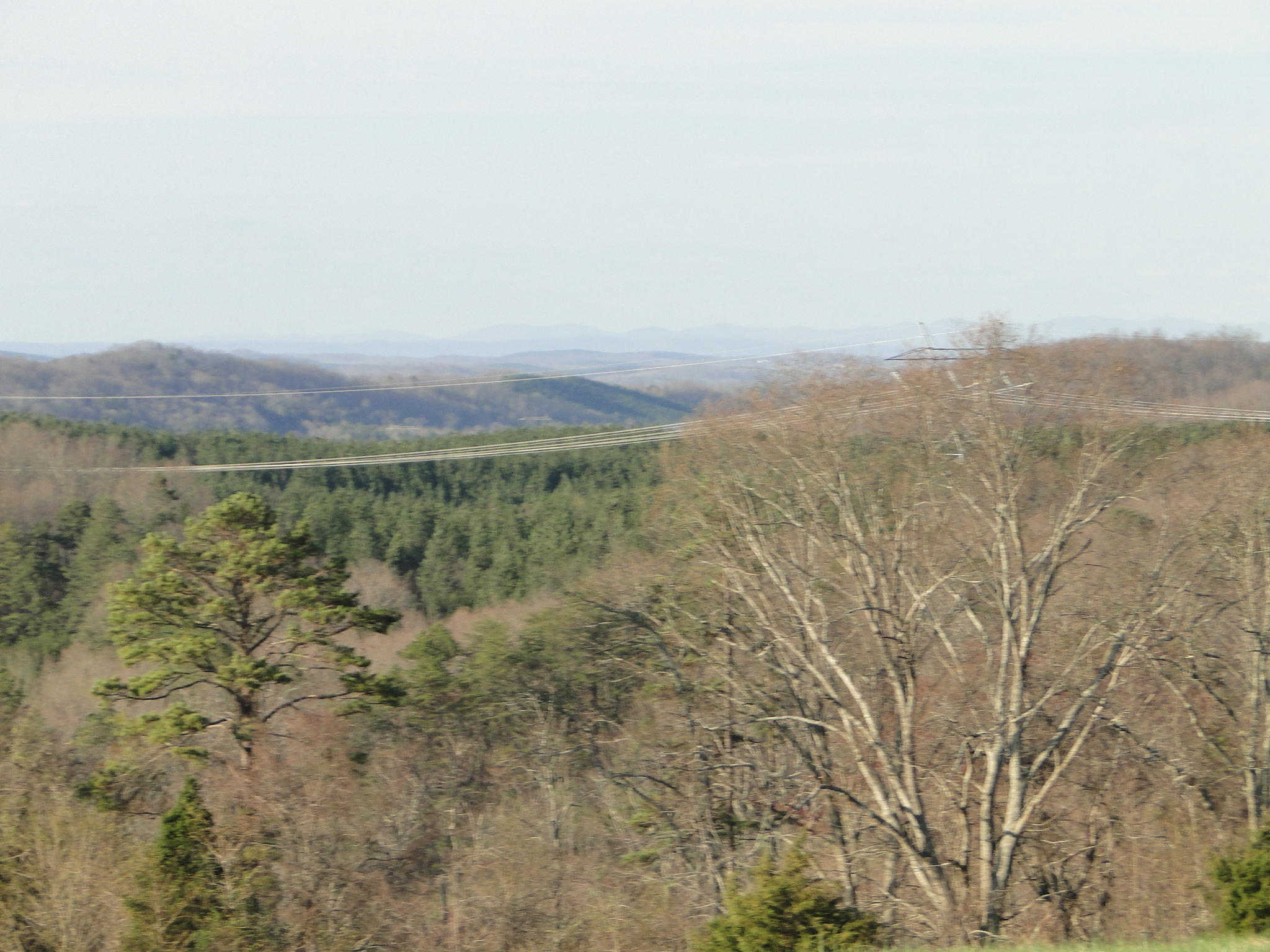 Tract #1 Brickell Ridge Road Decatur, TN 37322 - Photo 25 of 28 DSC08179