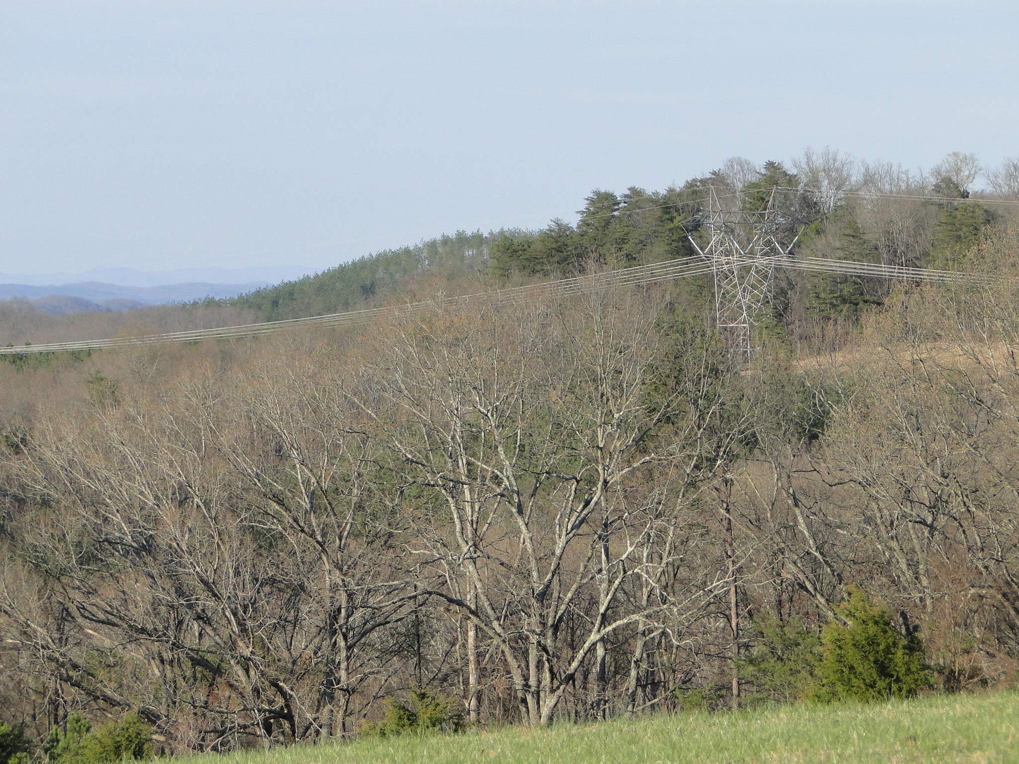 Tract #1 Brickell Ridge Road Decatur, TN 37322 - Photo 26 of 28 DSC08180
