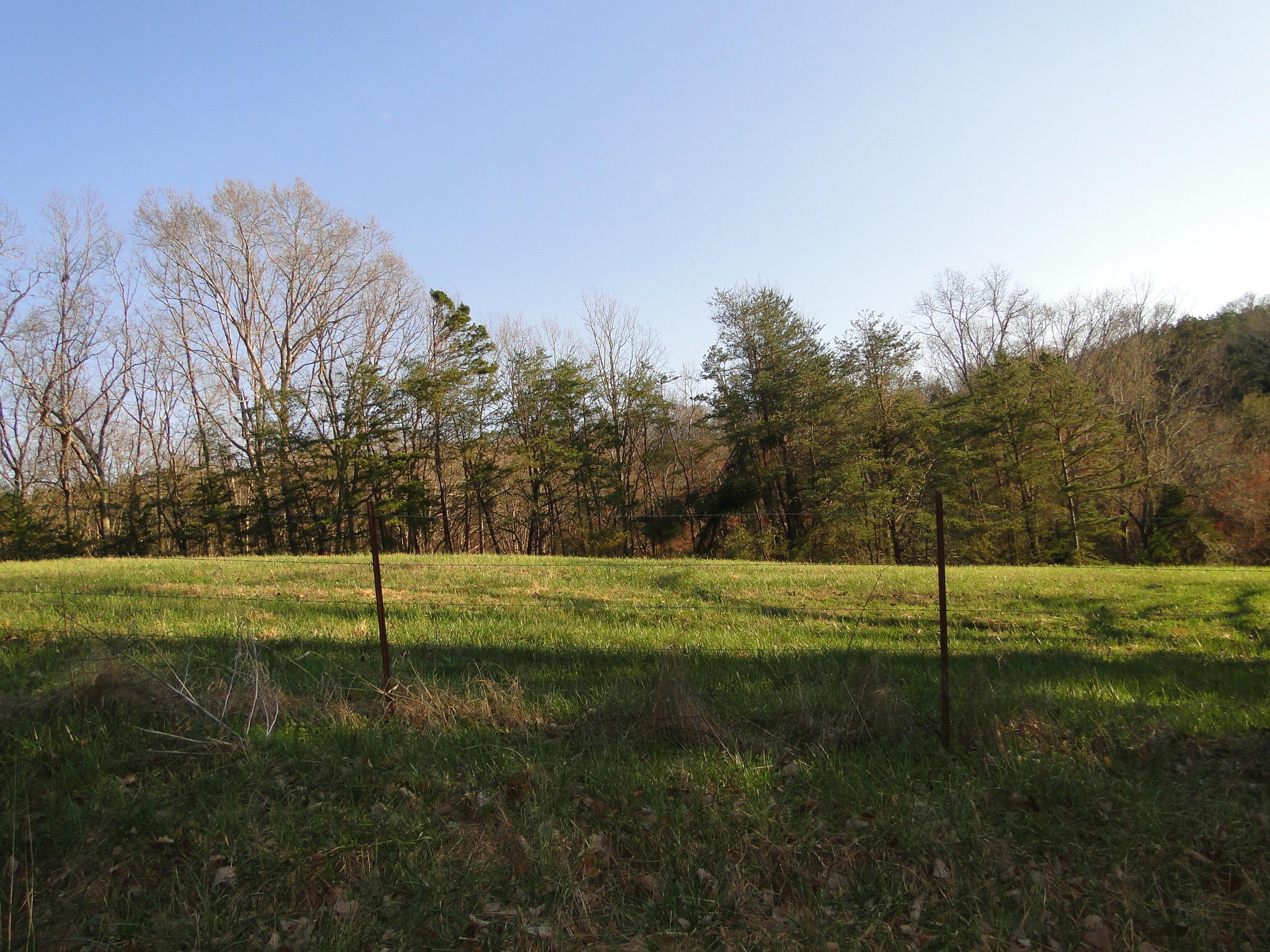 Tract #1 Brickell Ridge Road Decatur, TN 37322 - Photo 27 of 28 DSC08181