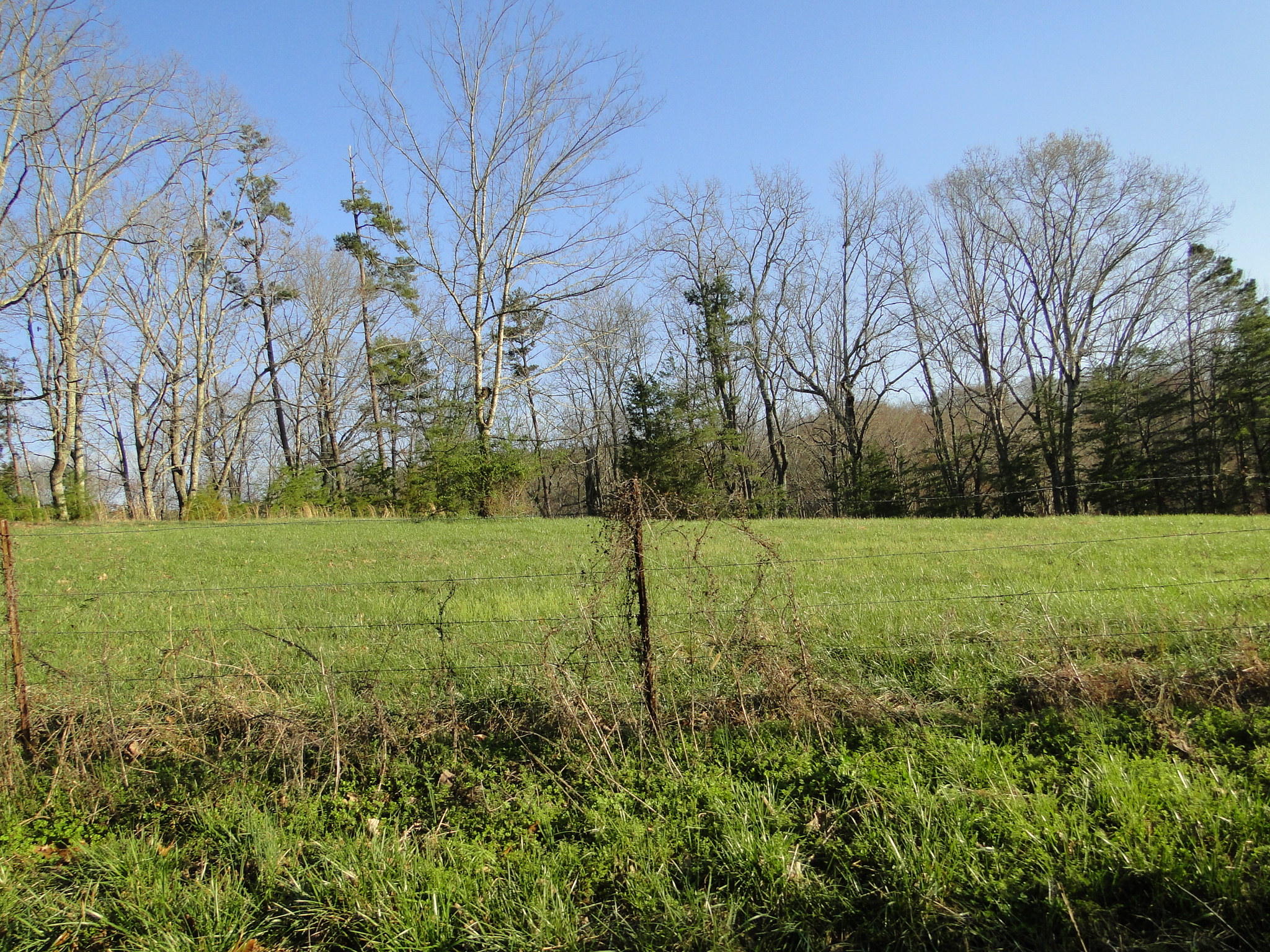 Tract #1 Brickell Ridge Road Decatur, TN 37322 - Photo 28 of 28 DSC08182