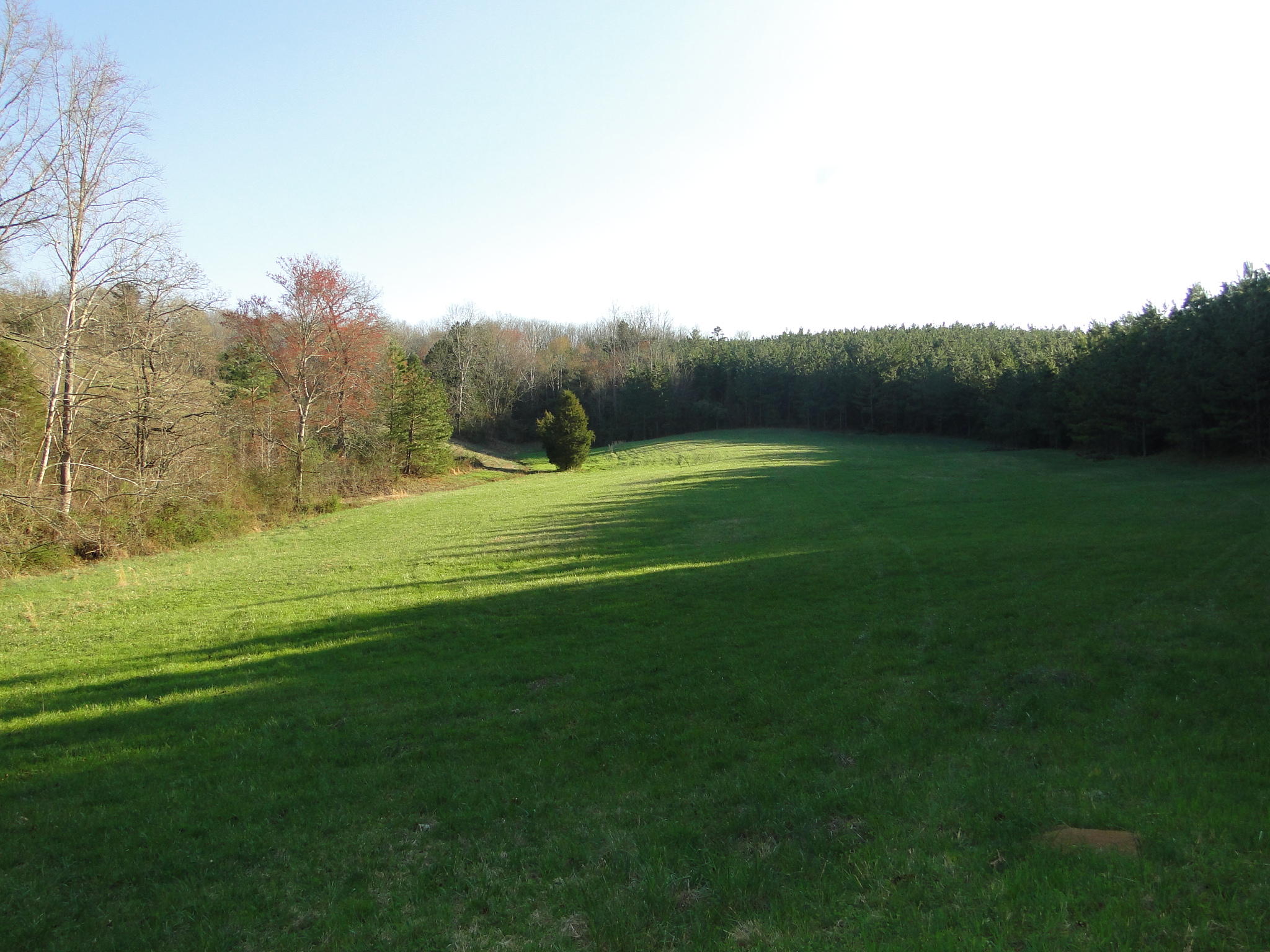 Tract #1 Brickell Ridge Road Decatur, TN 37322 - Photo 7 of 28 DSC08156